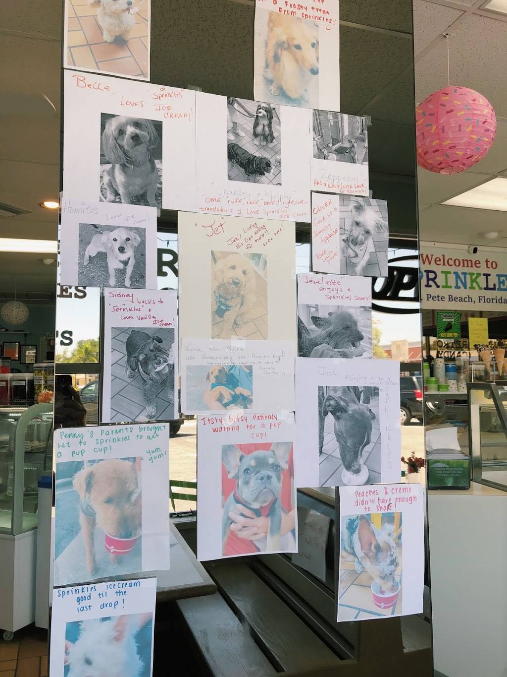 Sprinkles | restaurant | 6870 Gulf Blvd, St. Petersburg, FL 33706, USA | 7272906579 OR +1 727-290-6579