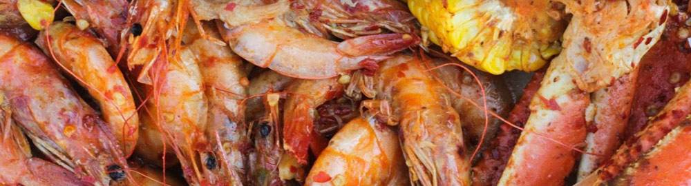 Top Choice | restaurant | 746 Lydig Ave, Bronx, NY 10462, USA | 9297779393 OR +1 929-777-9393