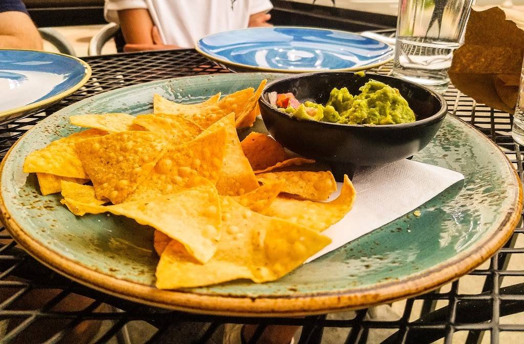 Tacos Tequila Whiskey | restaurant | 3300 W 32nd Ave, Denver, CO 80211, USA | 7205024608 OR +1 720-502-4608