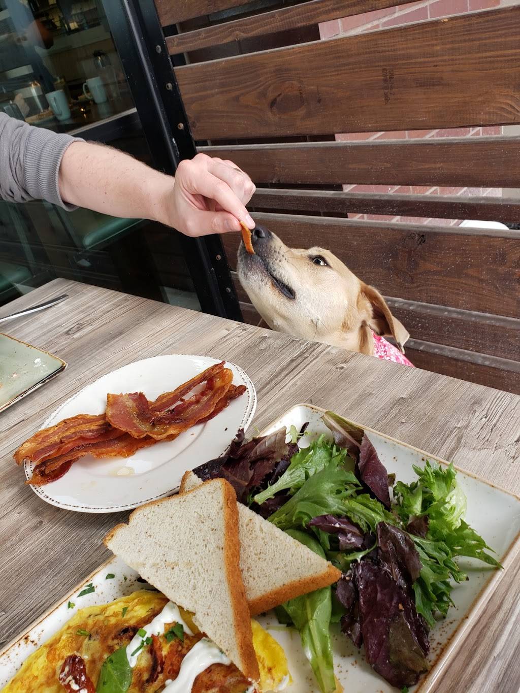 First Watch - Georgetown | restaurant | 1225 S IH 35 Frontage Rd #135, Georgetown, TX 78626, USA | 5126413331 OR +1 512-641-3331