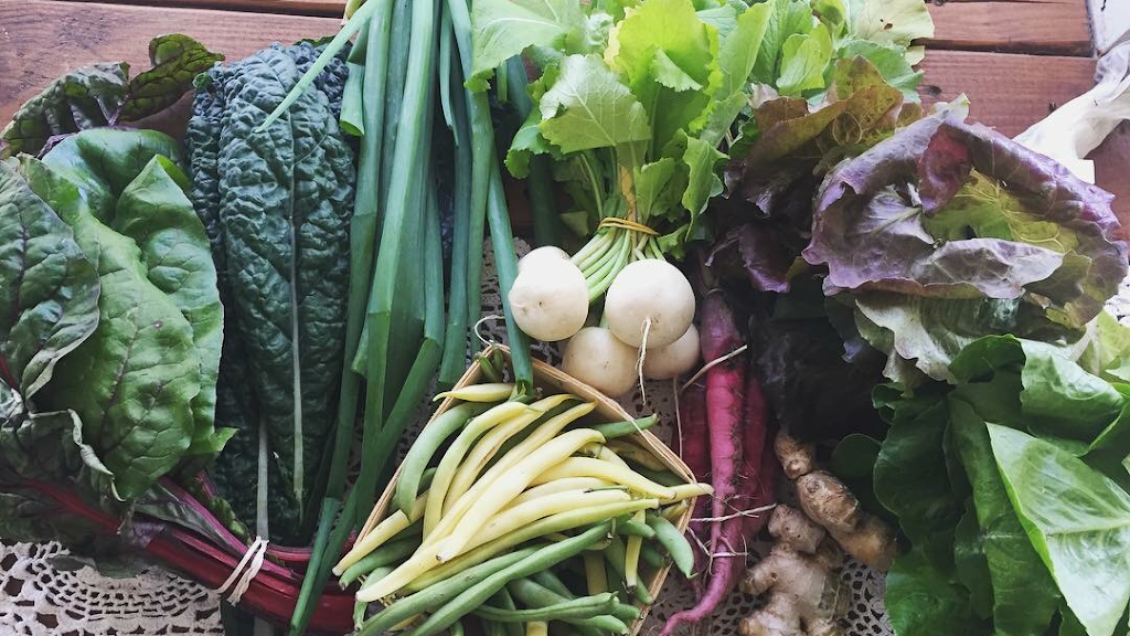 A Simpler Place Farm & Market | restaurant | 9903 Carr Rd, Riverview, FL 33569, USA | 8134241874 OR +1 813-424-1874