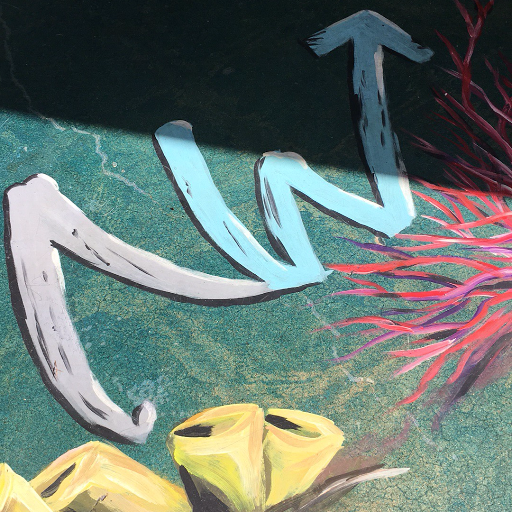 NoW sushi | restaurant | 3852 Mission Blvd, San Diego, CA 92109, USA | 8582466179 OR +1 858-246-6179