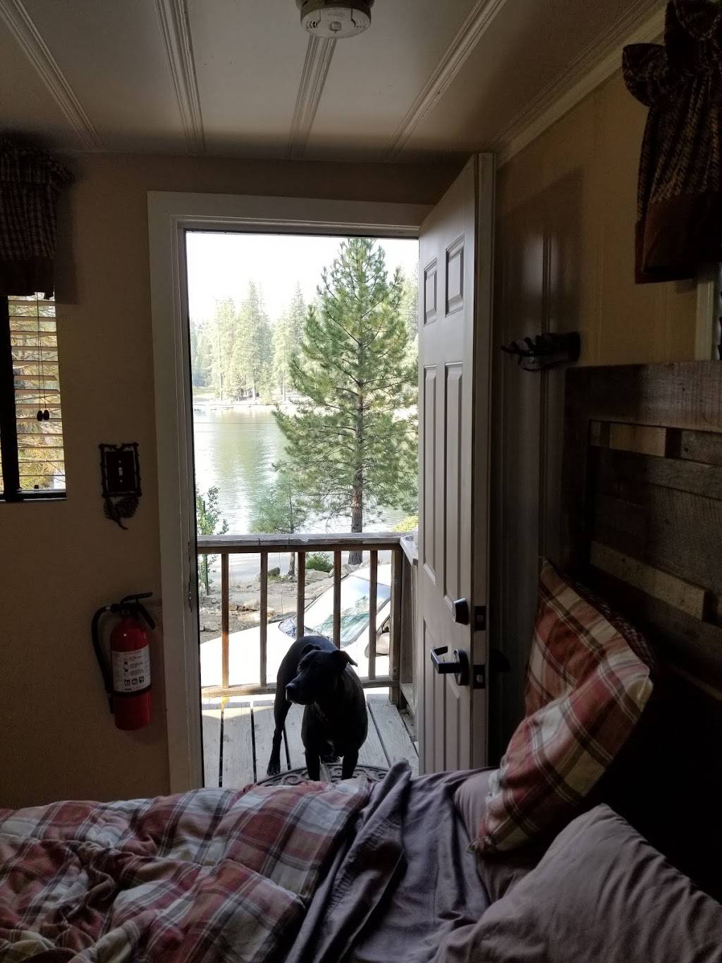 Shaver Lake Lodge Restaurant | restaurant | 44185 CA-168, Shaver Lake, CA 93664, USA | 5598413326 OR +1 559-841-3326