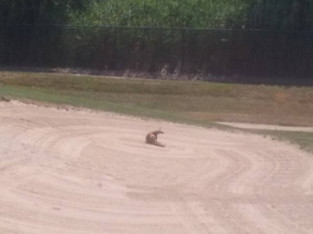 Dunkin Donuts | cafe | Citifield Stadium, 12301 Roosevelt Ave, Flushing, NY 11368, USA | 7185958100 OR +1 718-595-8100