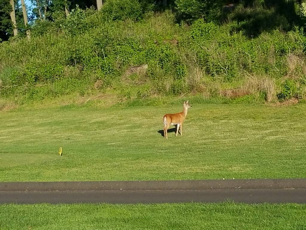 Galloping Hill Park and Golf Course | restaurant | 3 Golf Dr, Kenilworth, NJ 07033, USA | 9082418700 OR +1 908-241-8700