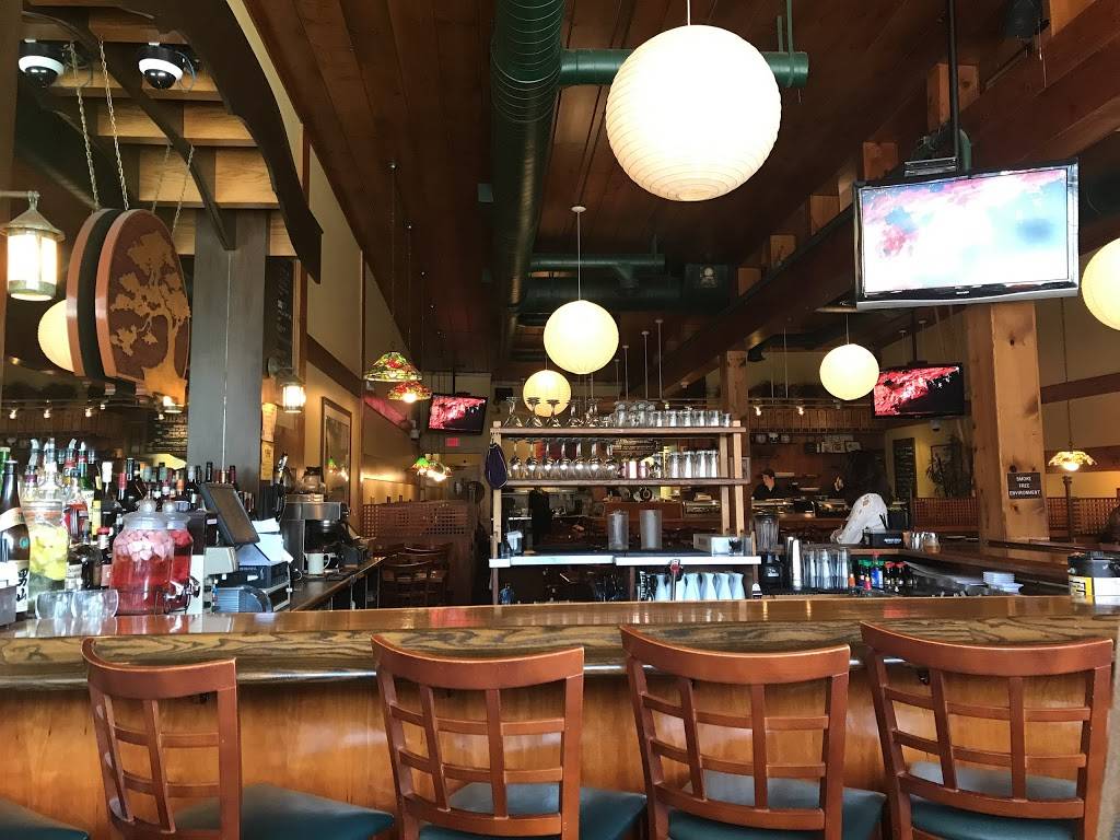 Little Tree Sushi Bar Inc | restaurant | 107 S Main St, Royal Oak, MI 48067, USA | 2485860994 OR +1 248-586-0994