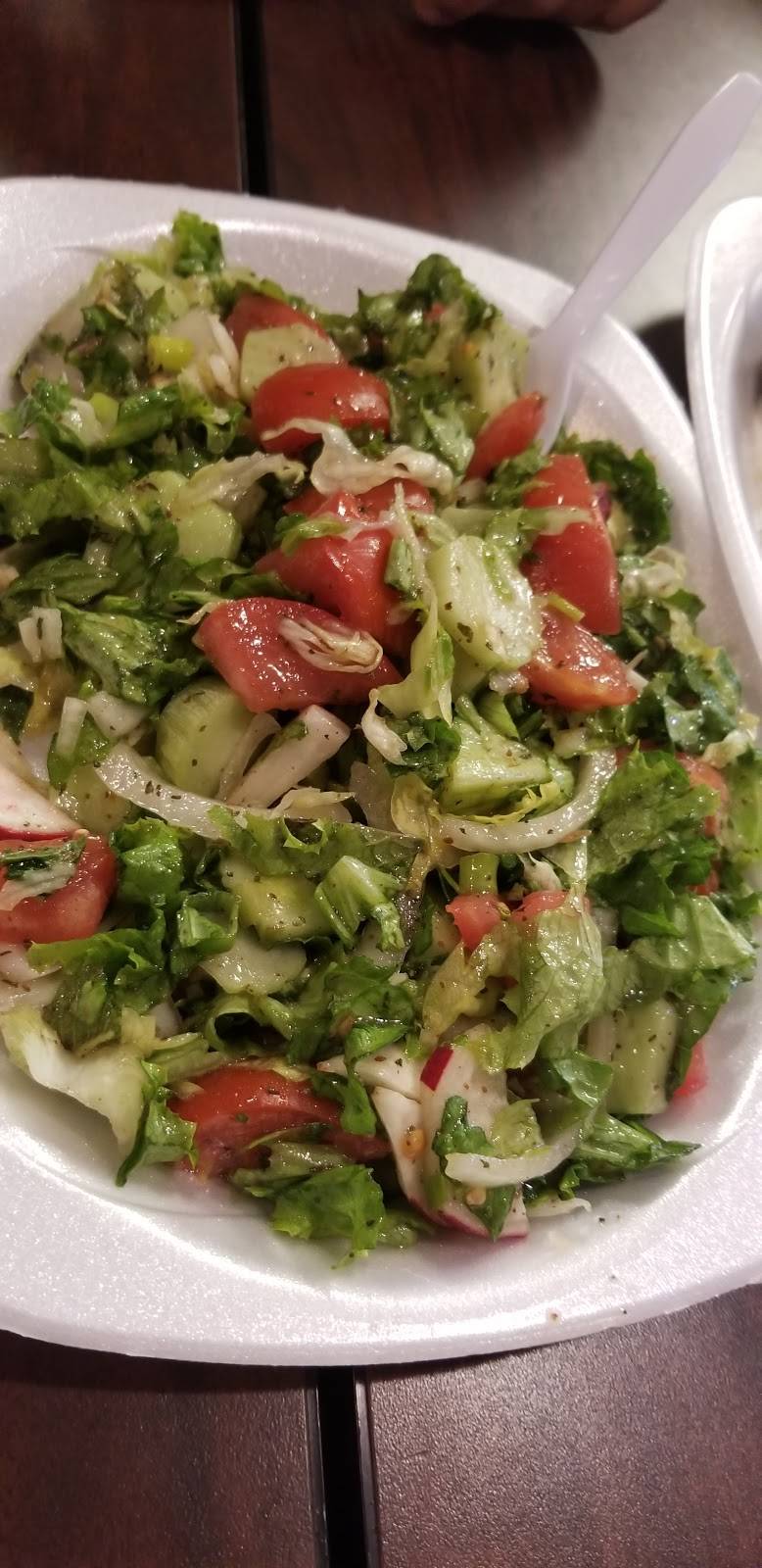 Falafel Queen | restaurant | 1080 S Ponce De Leon Blvd, St. Augustine, FL 32084, USA | 9042174886 OR +1 904-217-4886