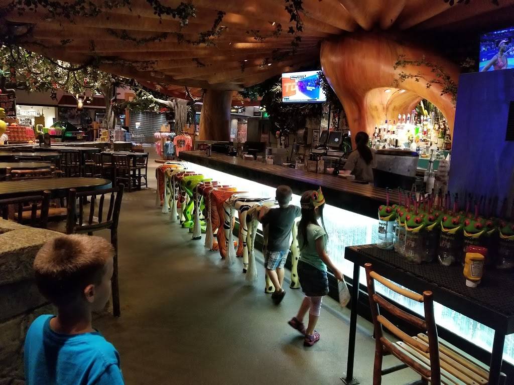 Rainforest Cafe | restaurant | 4310 Baldwin Rd, Auburn Hills, MI 48326, USA | 2483330280 OR +1 248-333-0280