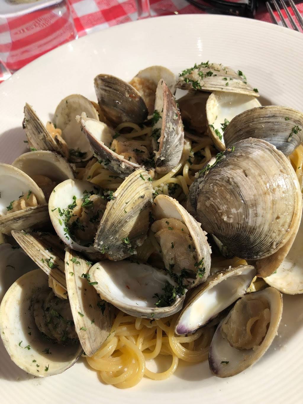 Mia Trattoria | restaurant | 3401 1st Ave, San Diego, CA 92103, USA | 6192305283 OR +1 619-230-5283