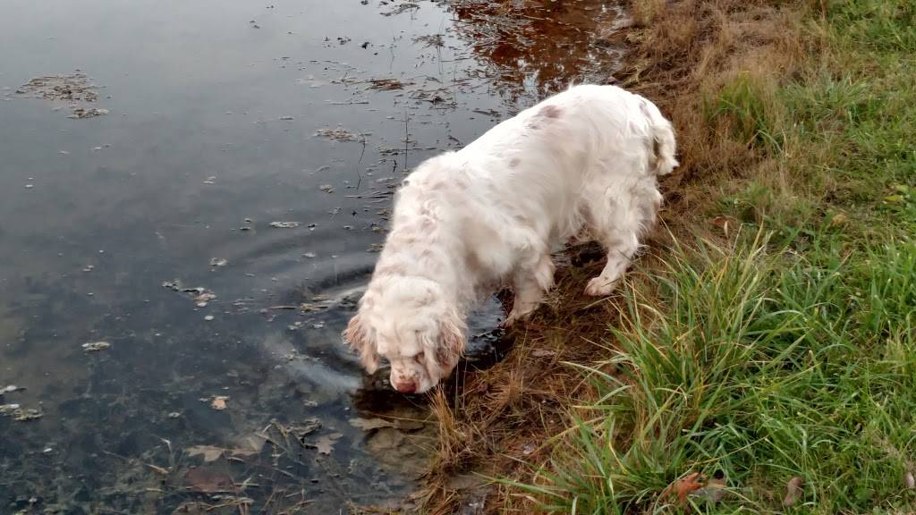 Milford Hills (Restaurant) | restaurant | W5670 French Rd, Johnson Creek, WI 53038, USA | 9206992249 OR +1 920-699-2249