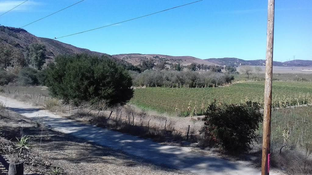 Cocos Santa Rosa | restaurant | Ensenada, Baja California, Mexico | 016611281650 OR +52 661 128 1650