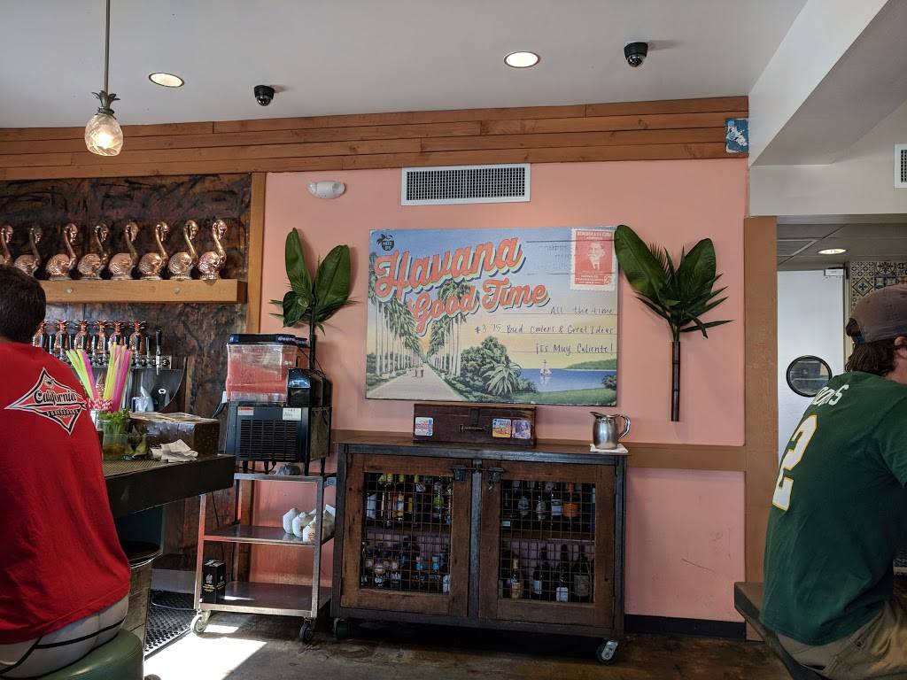 Miss Bs Coconut Club | restaurant | 7154, 3704 Mission Blvd, San Diego, CA 92109, USA | 8583810855 OR +1 858-381-0855