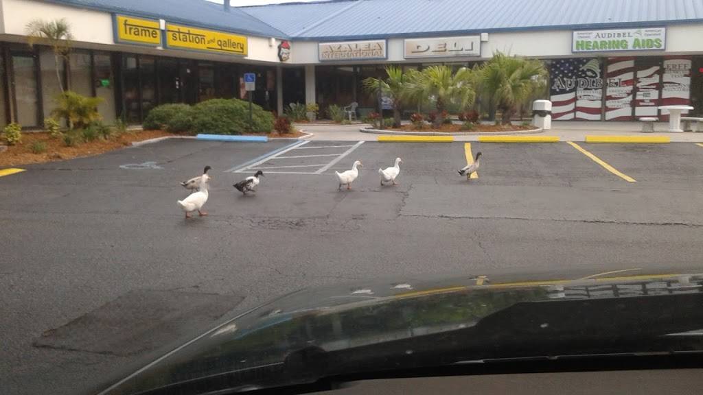 Pizza Hut | restaurant | 1155 Pasadena Ave S Suite J, South Pasadena, FL 33707, USA | 7273815500 OR +1 727-381-5500