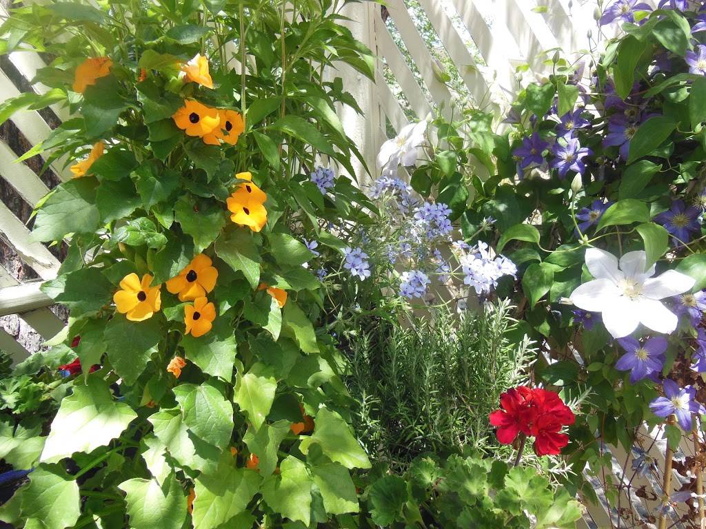 4th Street Bistro | restaurant | 3065 W 4th St, Reno, NV 89523, USA | 7753233200 OR +1 775-323-3200