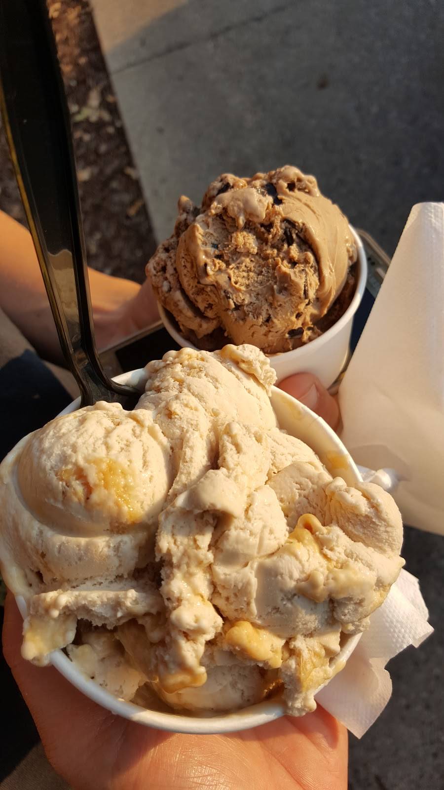 Guernsey Farms Dairy | restaurant | 21300 Novi Rd, Northville, MI 48167, USA | 2483491466 OR +1 248-349-1466