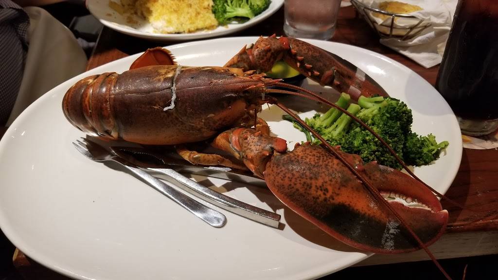 Red Lobster | restaurant | 4415 W Wendover Ave, Greensboro, NC 27407, USA | 3362923527 OR +1 336-292-3527