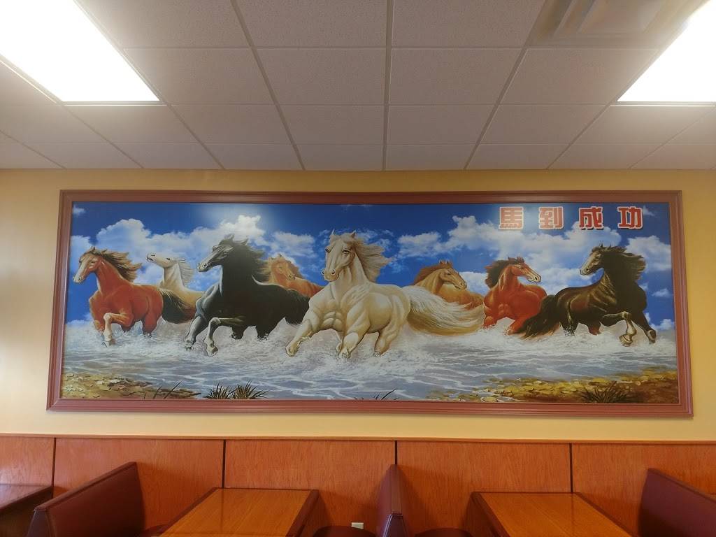 Chens Wok VIII | restaurant | 6255 Zebulon Rd Ste 230, Macon, GA 31210, USA | 4782547272 OR +1 478-254-7272