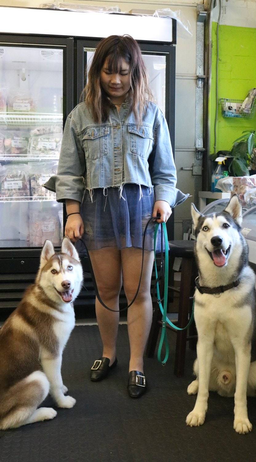 CaptainK9 | restaurant | 2115 Midland Ave Unit 9, Scarborough, ON M1P 3E4, Canada | 4162936686 OR +1 416-293-6686