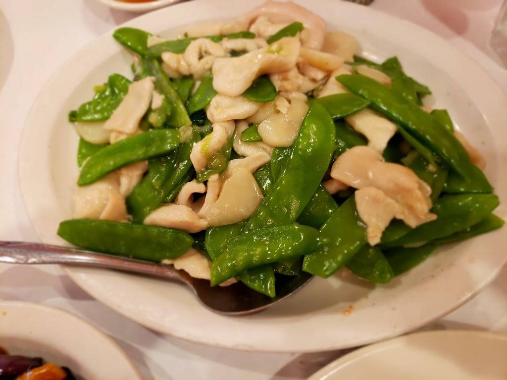 Yummy Bowl | restaurant | 1908 Sheridan Rd, Highland Park, IL 60035, USA | 8472668880 OR +1 847-266-8880