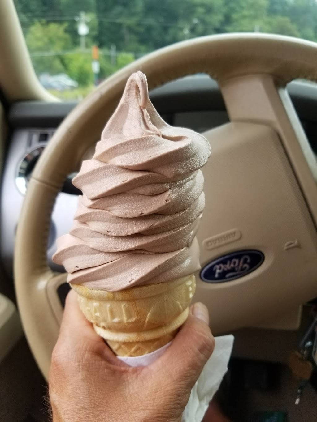 Tastee Freez | restaurant | 1091 Patton Ave, Asheville, NC 28806, USA | 8282524234 OR +1 828-252-4234