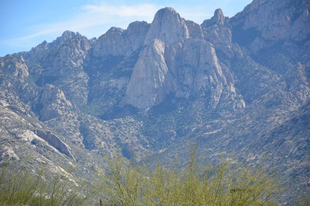 Red Lobster | restaurant | 11695 N Oracle Rd, Oro Valley, AZ 85737, USA | 5205447887 OR +1 520-544-7887