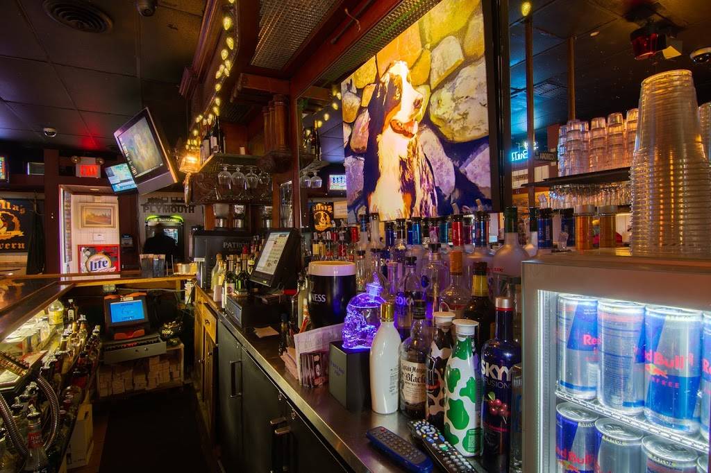 Stellas Black Dog Tavern | restaurant | 860 Fralick St, Plymouth, MI 48170, USA | 7342079656 OR +1 734-207-9656