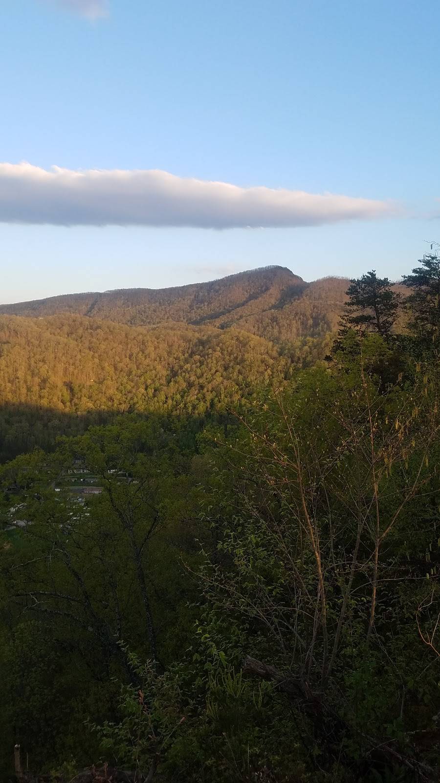 Time Out Pizza & Grill | restaurant | 100 Patty Loveless Dr, Elkhorn City, KY 41522, USA | 6067544222 OR +1 606-754-4222