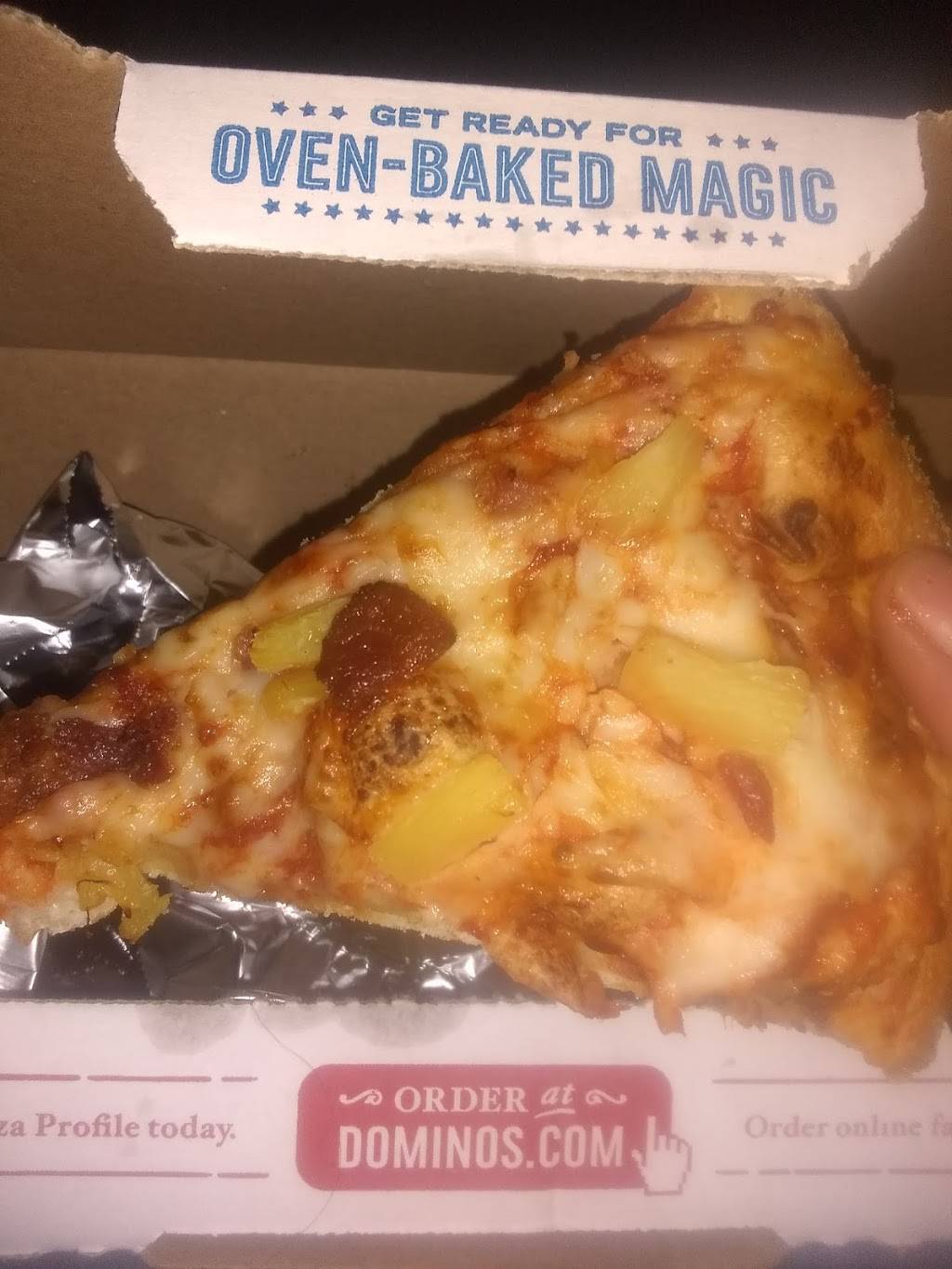 Dominos Pizza | restaurant | W McNichols Rd, Detroit, MI 48235, USA | 3132732420 OR +1 313-273-2420