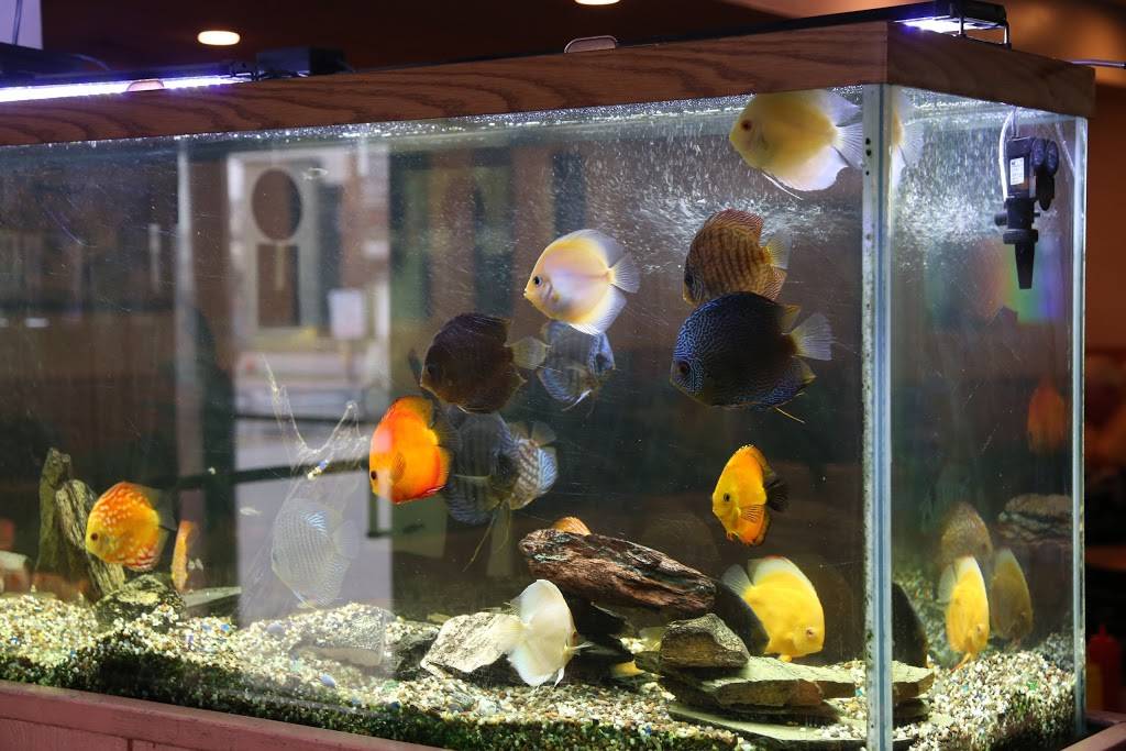 Ings Palace | restaurant | 8900 S Harlem Ave, Bridgeview, IL 60455, USA | 7085989555 OR +1 708-598-9555