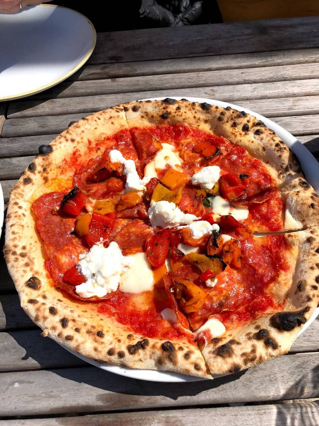 Pizzeria Testa | restaurant | 3525 Greenville Ave, Dallas, TX 75206, USA | 4696202266 OR +1 469-620-2266