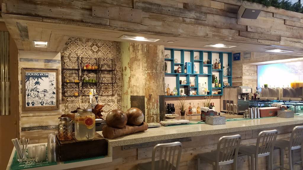 Taco Dumbo | restaurant | 56 Prospect St, Brooklyn, NY 11201, USA | 3472020306 OR +1 347-202-0306