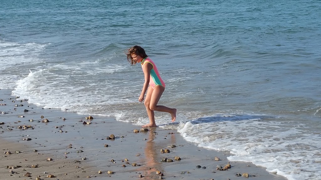 Green Harbor Golf Club | restaurant | 624 Webster St, Marshfield, MA 02050, USA | 7818347303 OR +1 781-834-7303