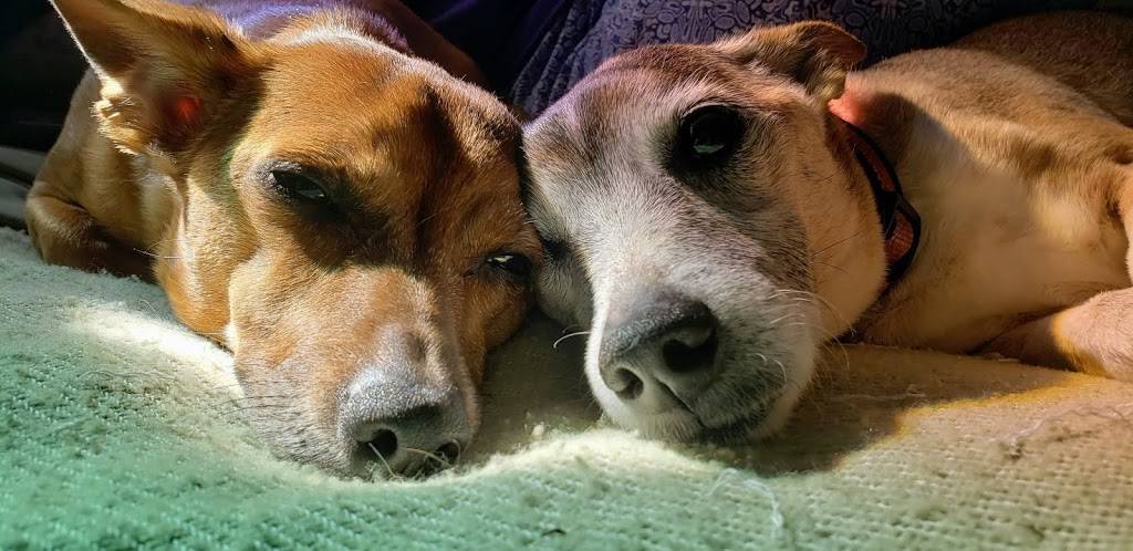 Jeffrey Brooks Interior Design | restaurant | 54 Schooleys Mountain Rd, Long Valley, NJ 07853, USA | 9086422376 OR +1 908-642-2376