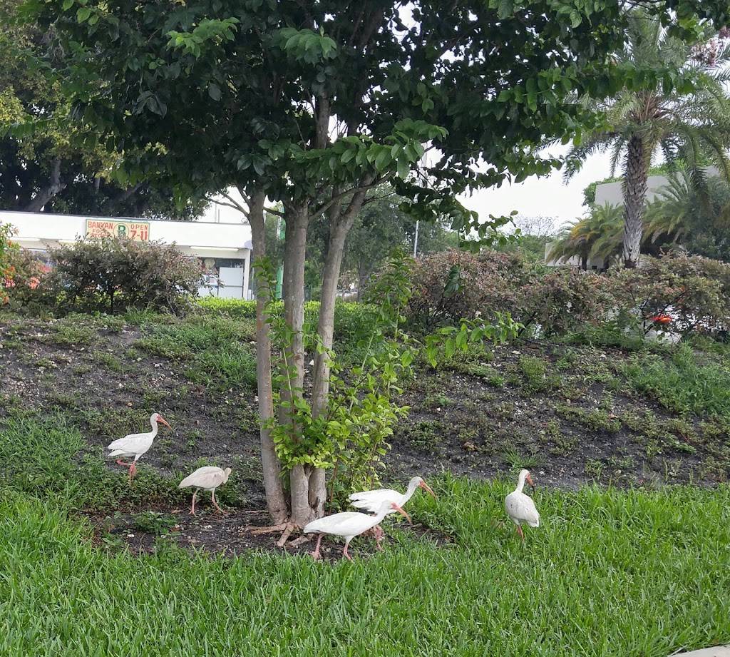 McDonalds | cafe | 5835 Hollywood Blvd, Hollywood, FL 33021, USA | 9549814121 OR +1 954-981-4121