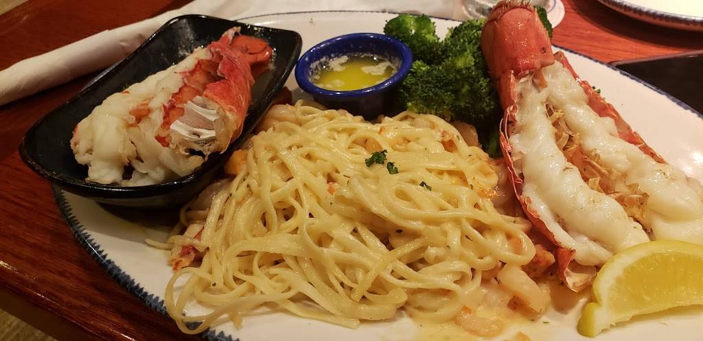 Red Lobster | restaurant | 6747 S Tamiami Trail, Sarasota, FL 34231, USA | 9419241297 OR +1 941-924-1297