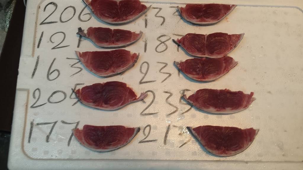 New 88 Japanese Food Inc | restaurant | 33-05 Farrington St, Flushing, NY 11354, USA | 7189618566 OR +1 718-961-8566