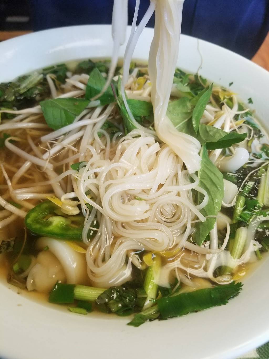 Saigon Fast Food | restaurant | 1011 N Pleasantburg Dr, Greenville, SC 29607, USA | 8642353472 OR +1 864-235-3472