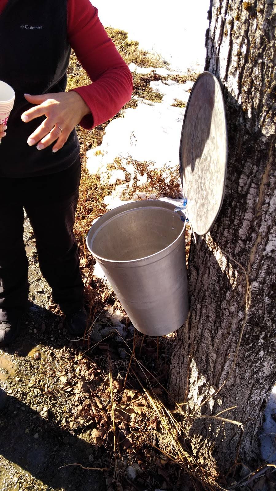 Érablière Duchesne | restaurant | 2685 Chemin Goddard, Sherbrooke, QC J1H 0C4, Canada | 8195652806 OR +1 819-565-2806