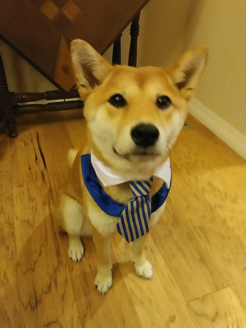 Sonic Drive-In | restaurant | 7005 Mesa Ridge Pkwy, Fountain, CO 80817, USA | 7193229783 OR +1 719-322-9783