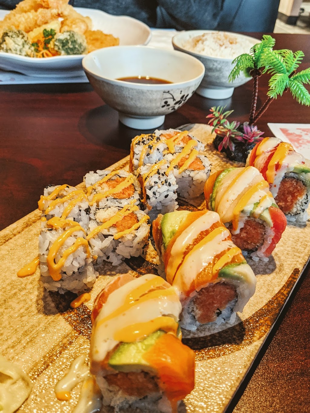 Sakura Sushi | restaurant | 2400 S Marion Rd, Sioux Falls, SD 57106, USA | 6053063288 OR +1 605-306-3288