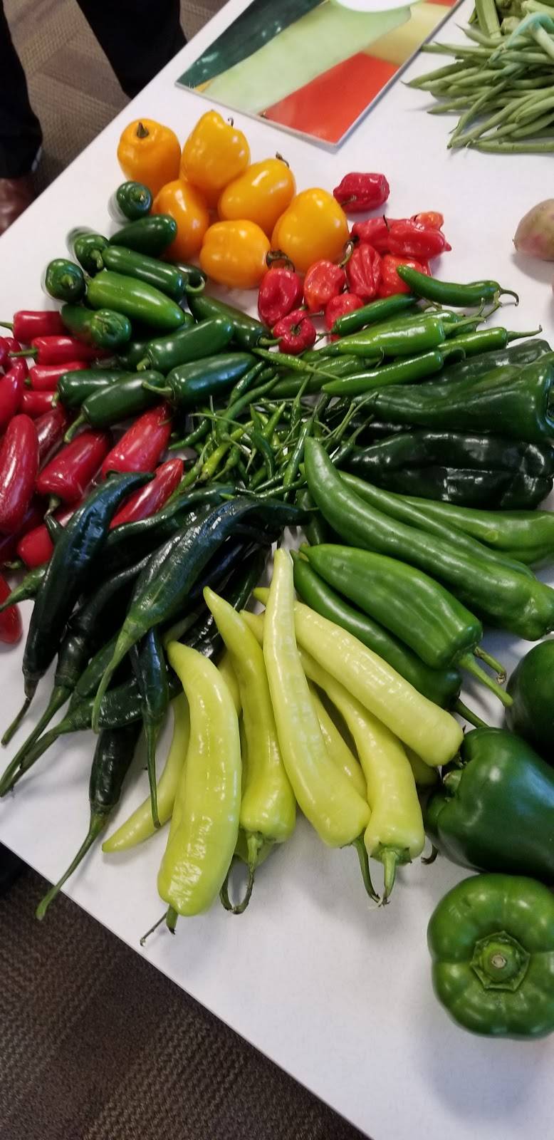 Lone Star Breakfast and Grill | restaurant | 1800 West Sam Houston Pkwy N, Houston, TX 77043, USA | 7139320883 OR +1 713-932-0883