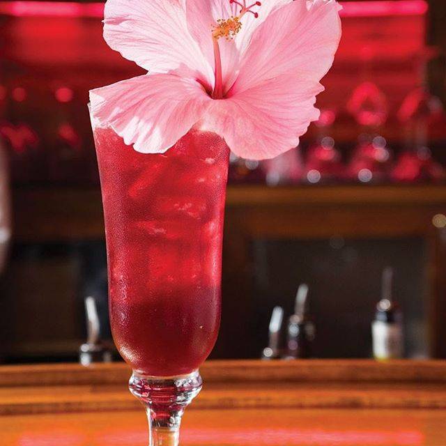 Koi Lounge | restaurant | 24880 S Tamiami Trail, Bonita Springs, FL 34134, USA | 2394955044 OR +1 239-495-5044