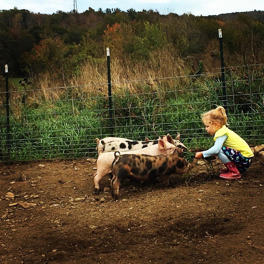 Lilac Hedge Farm | restaurant | 216 Wachusett St, Rutland, MA 01543, USA | 7742455367 OR +1 774-245-5367