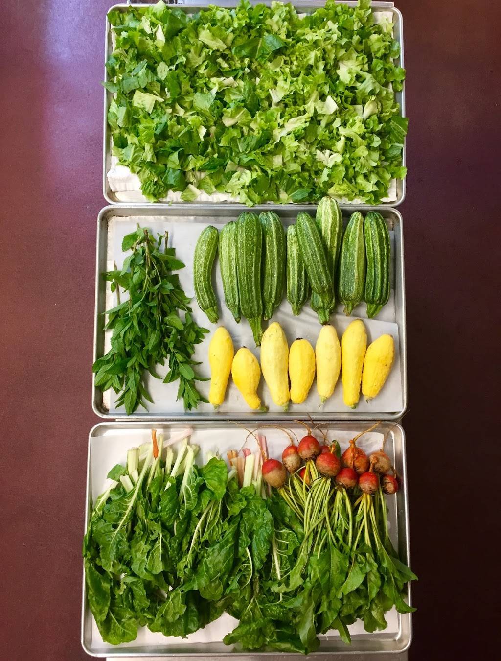 Cafe Hope | restaurant | 1 Timberlane Dr, Gretna, LA 70056, USA | 5043092065 OR +1 504-309-2065