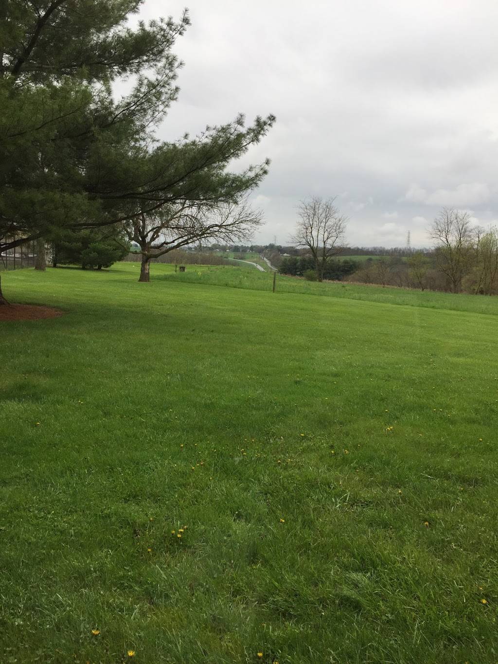 Subway Restaurants | restaurant | 3000 Ventrie Ct., Space No. E, Ventrie Center, Myersville, MD 21773, USA | 3015087097 OR +1 301-508-7097