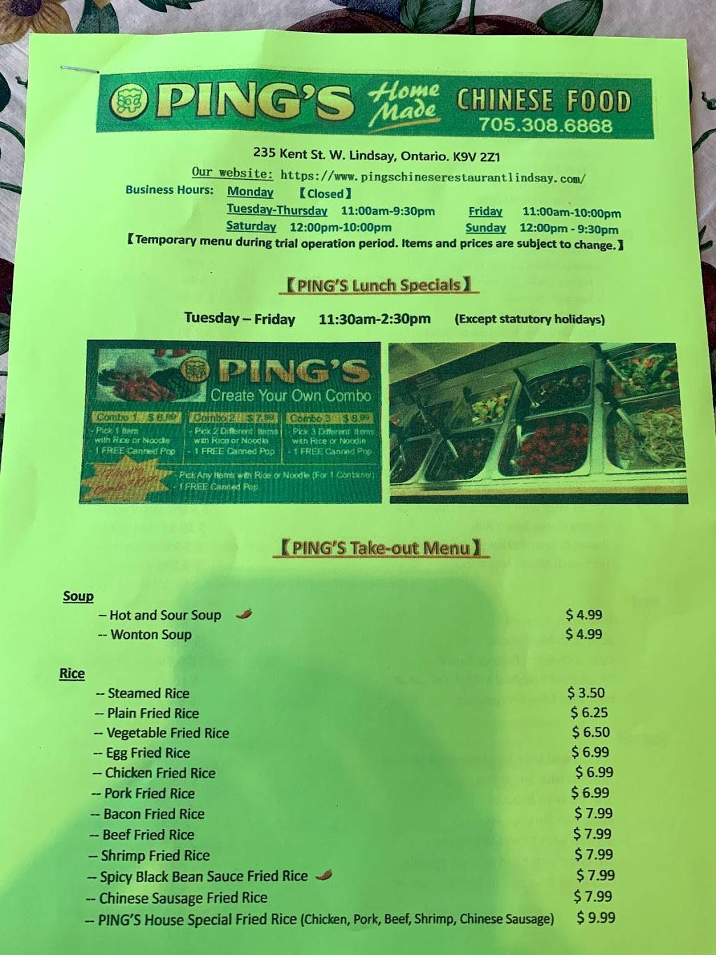 Pings Home Made Chinese Food | restaurant | 235 Kent St W, Lindsay, ON K9V 2Z1, Canada | 7053086868 OR +1 705-308-6868