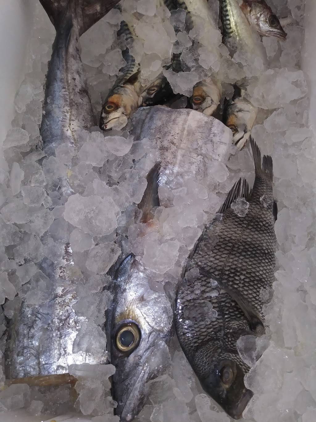 Lynn Blue Crab | restaurant | 2148 49th St S, Gulfport, FL 33707, USA | 7275924251 OR +1 727-592-4251