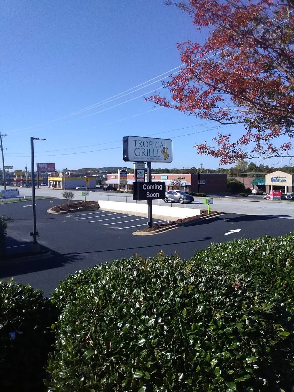 Tropical Grille | restaurant | 1628 Woodruff Rd, Greenville, SC 29607, USA | 8643261275 OR +1 864-326-1275