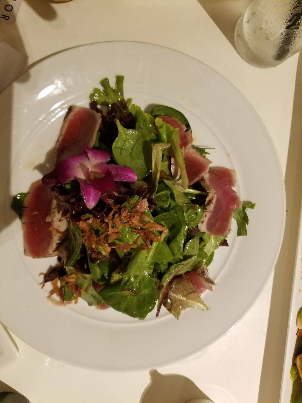 Morimoto Sushi Bar | restaurant | 501 E Camino Real, Boca Raton, FL 33432, USA | 5614473640 OR +1 561-447-3640