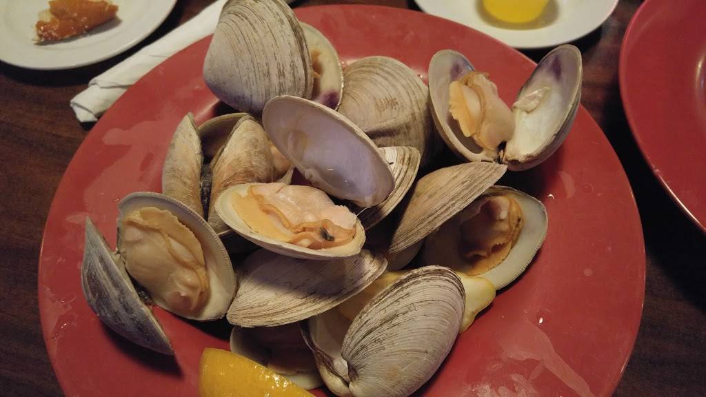 Lone Tree Tavern | restaurant | 33009 Lorain Rd, North Ridgeville, OH 44039, USA | 4403094979 OR +1 440-309-4979